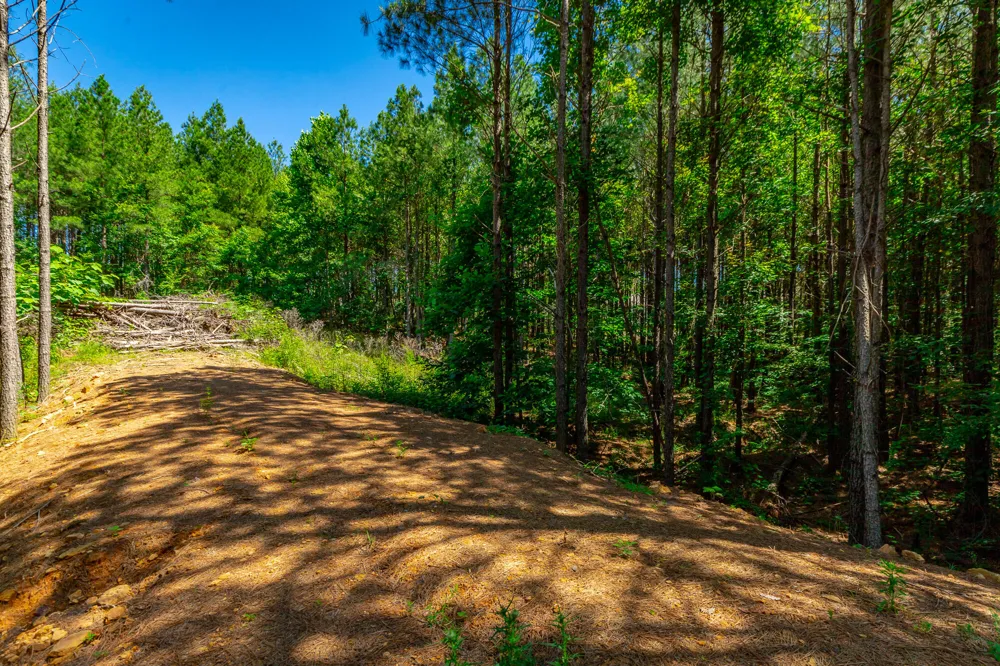 Split Rail Way Guild, TN 37340