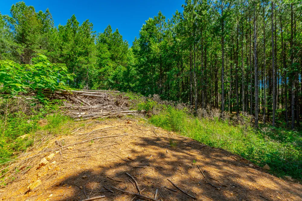 Split Rail Way Guild, TN 37340