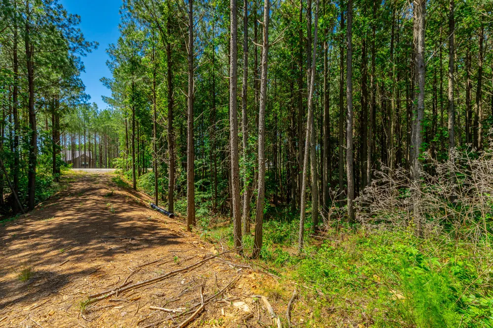 Split Rail Way Guild, TN 37340