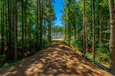 Split Rail Way