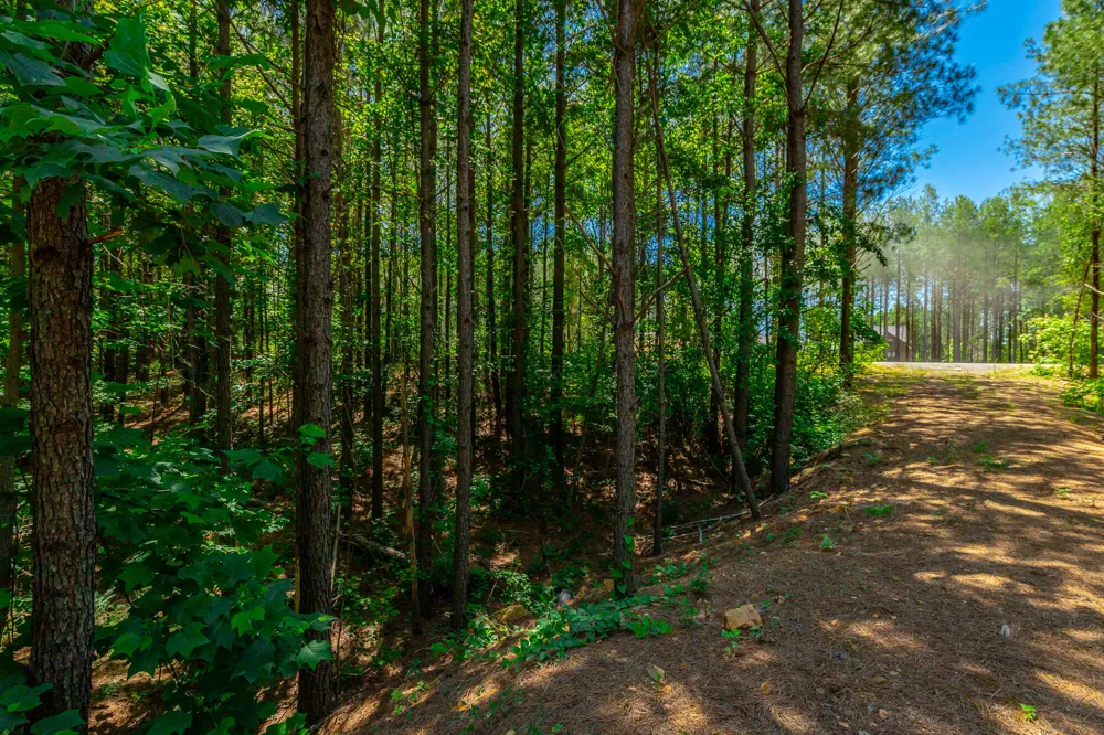 Split Rail Way Guild, TN 37340