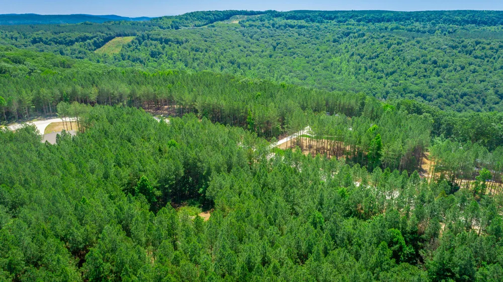 Split Rail Way Guild, TN 37340