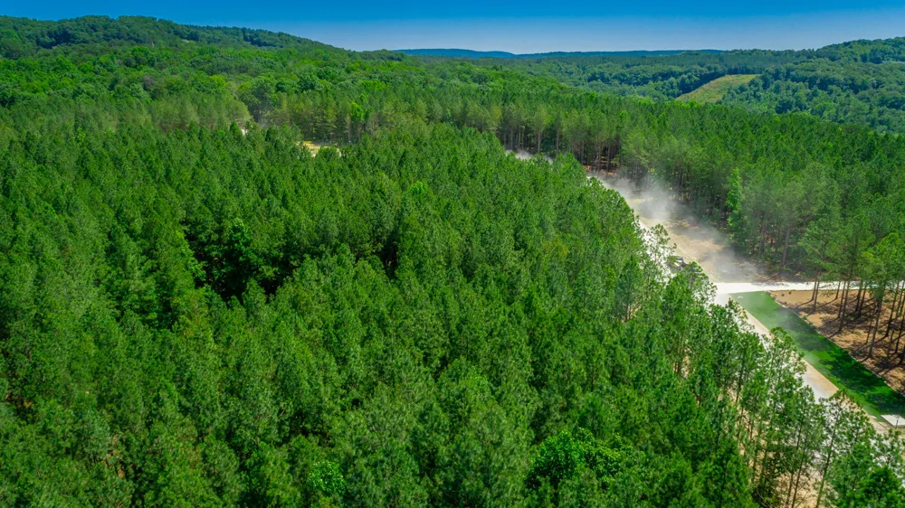 Split Rail Way Guild, TN 37340