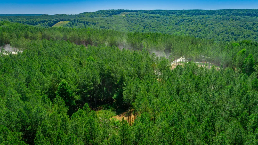 Split Rail Way Guild, TN 37340