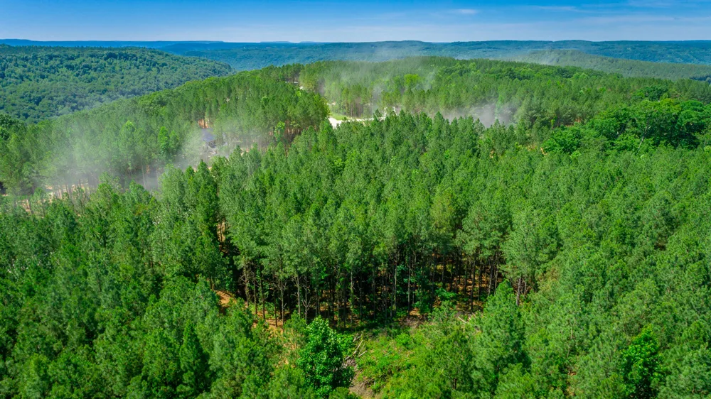 Split Rail Way Guild, TN 37340
