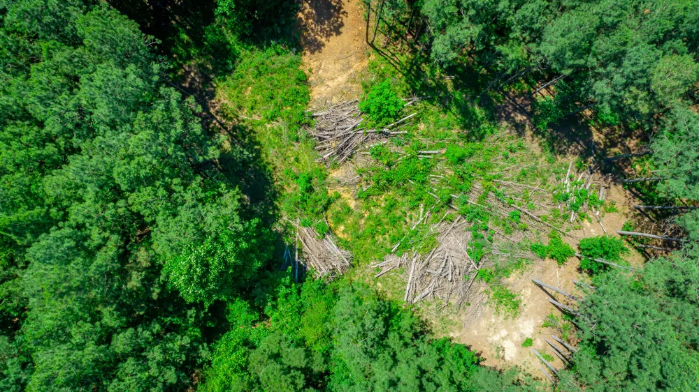 Split Rail Way Guild, TN 37340