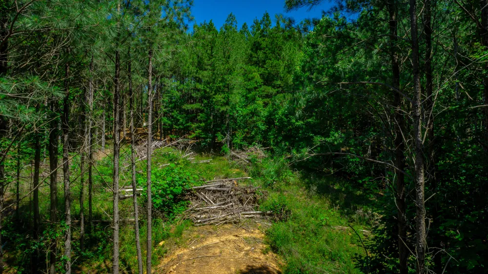 Split Rail Way Guild, TN 37340