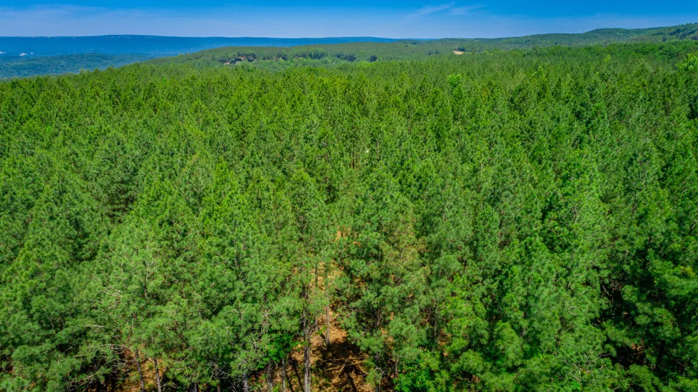 Split Rail Way Guild, TN 37340