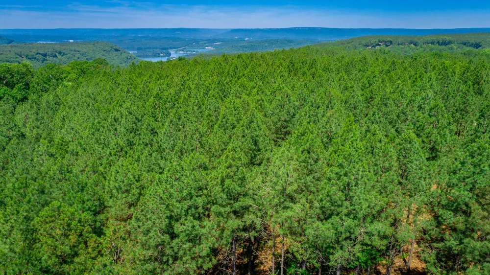 Split Rail Way Guild, TN 37340
