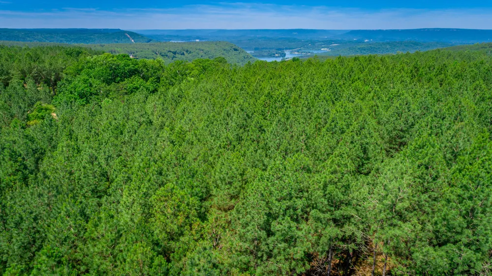 Split Rail Way Guild, TN 37340