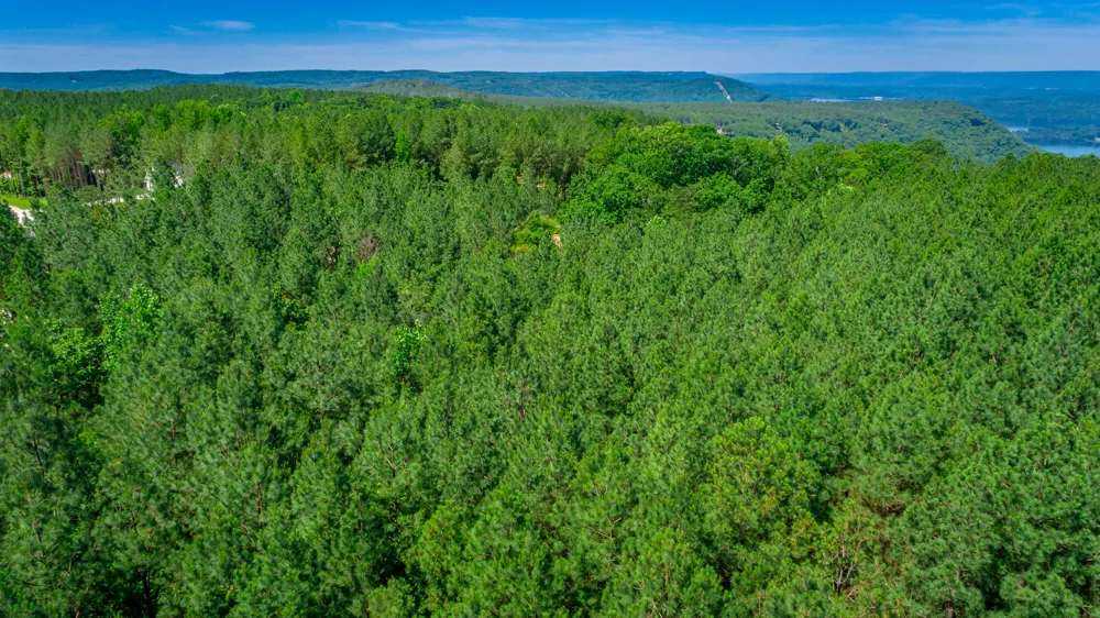 Split Rail Way Guild, TN 37340