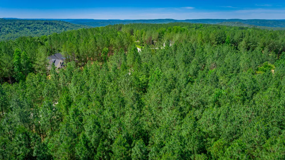 Split Rail Way Guild, TN 37340