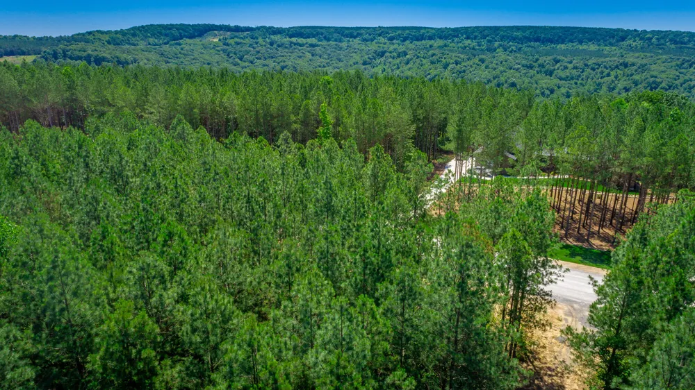 Split Rail Way Guild, TN 37340