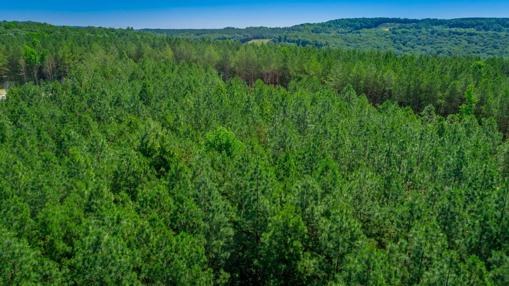 Split Rail Way Guild, TN 37340