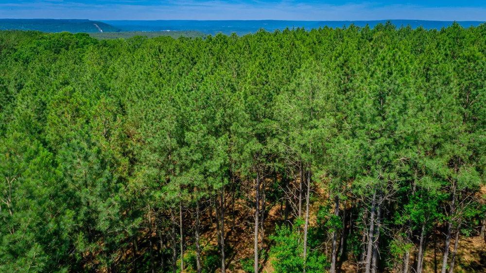 Split Rail Way Guild, TN 37340