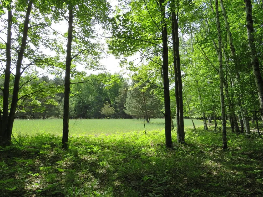 4670 Rescue Road Owendale, MI 48754