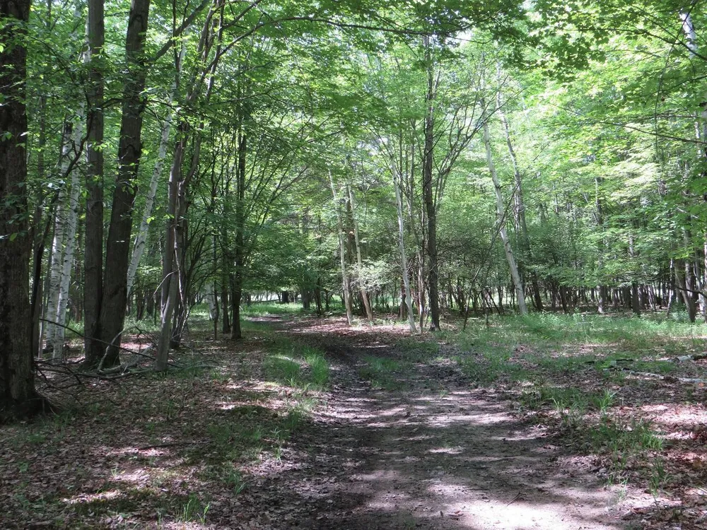 4670 Rescue Road Owendale, MI 48754