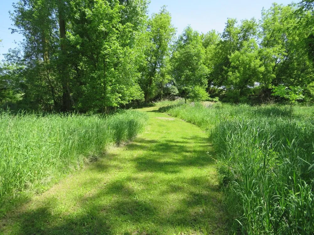 4670 Rescue Road Owendale, MI 48754