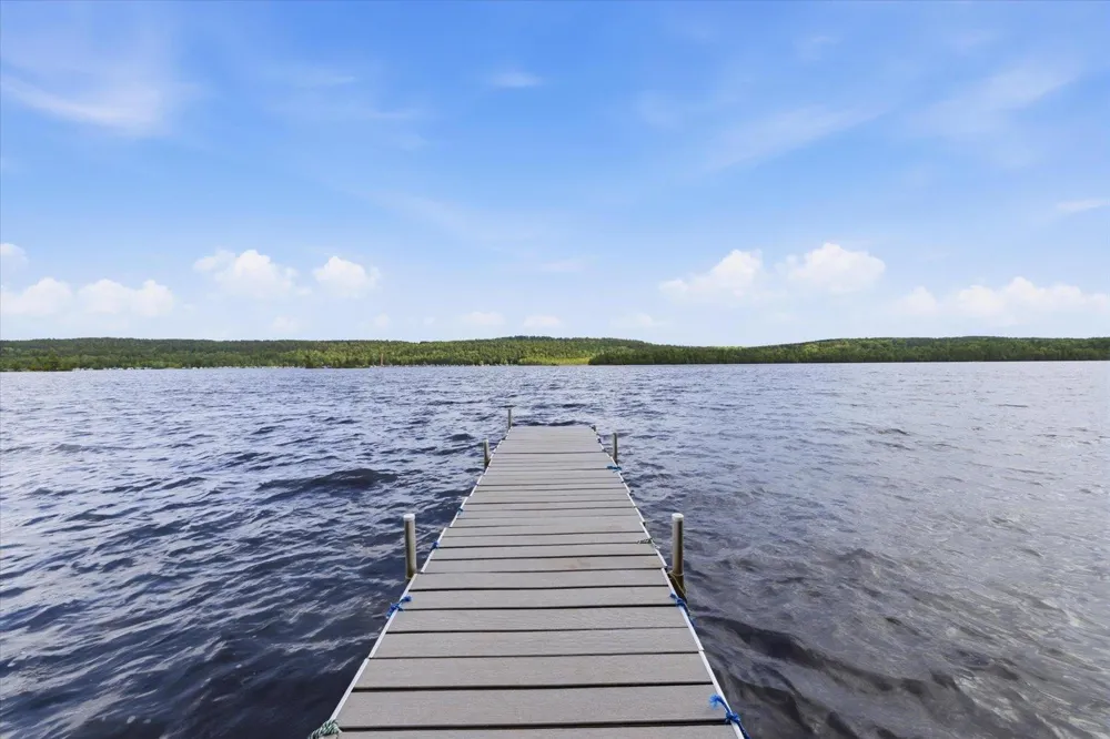 5298 Long Island Tower, MN 55790