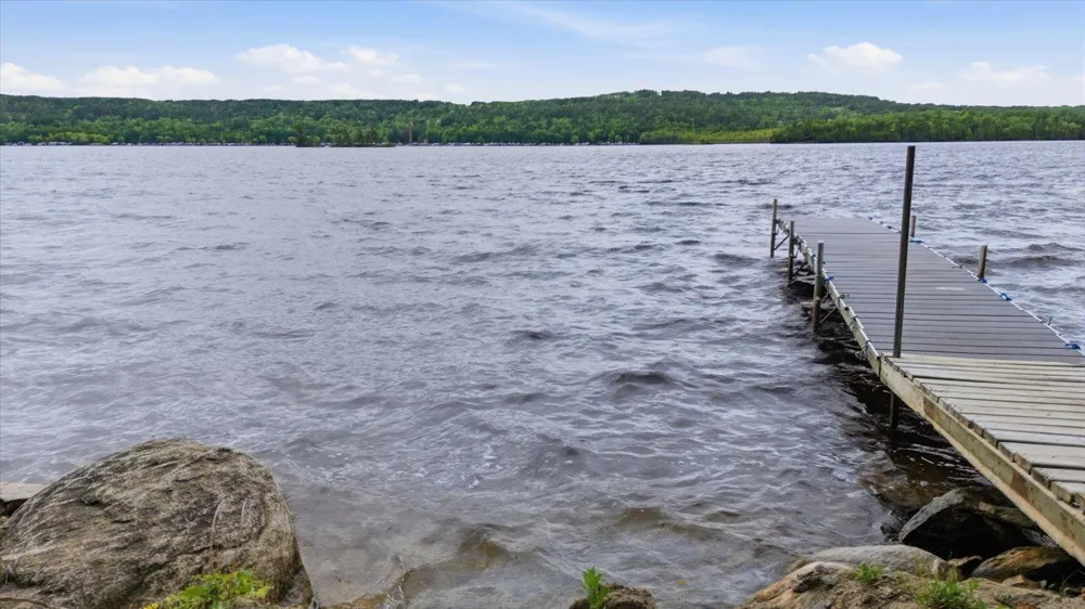 5298 Long Island Tower, MN 55790