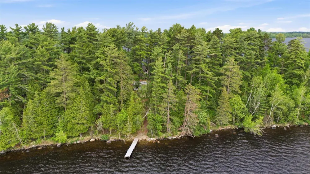 5298 Long Island Tower, MN 55790