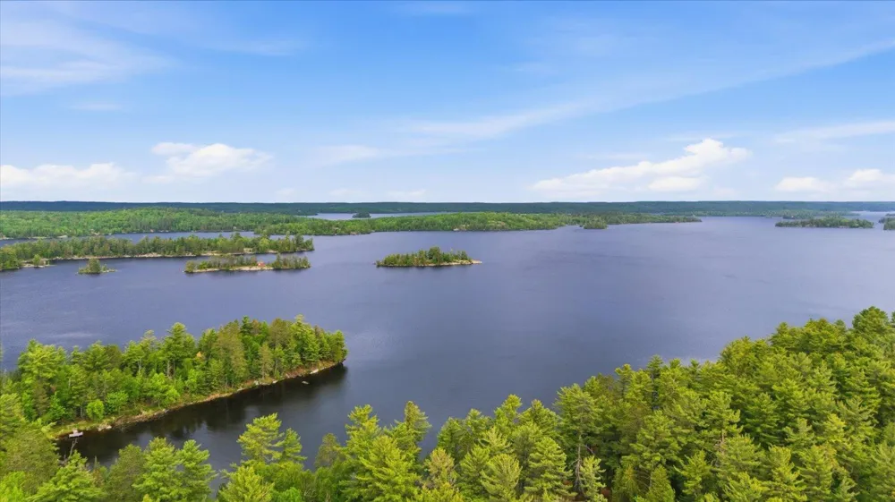 5298 Long Island Tower, MN 55790