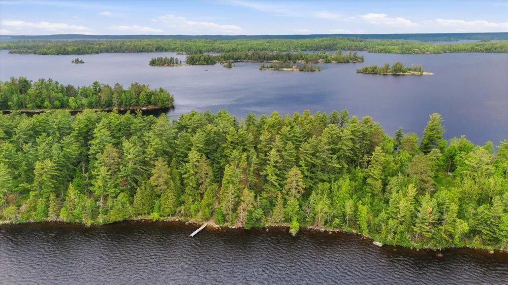 5298 Long Island Tower, MN 55790