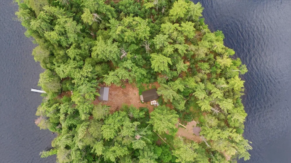 5298 Long Island Tower, MN 55790