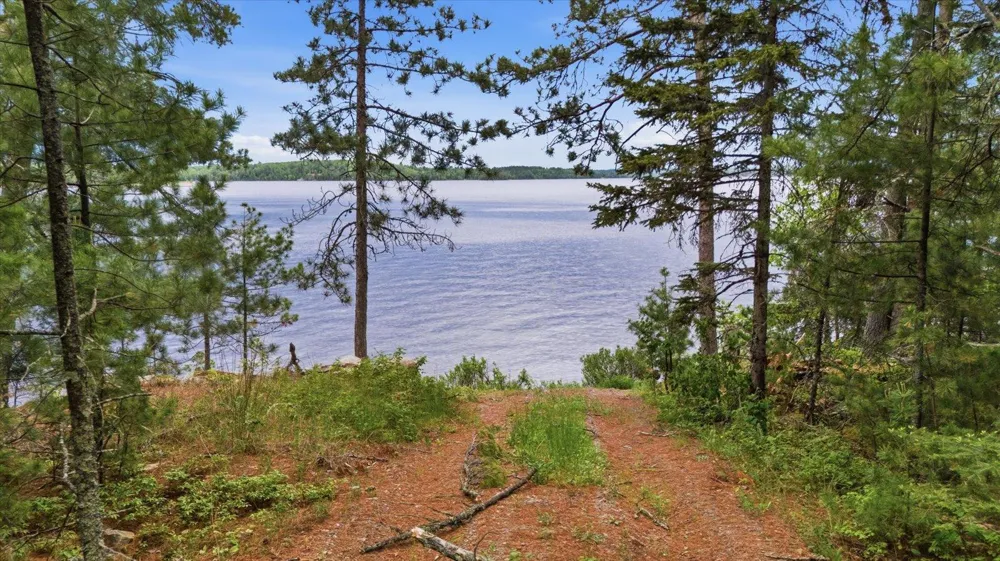 5298 Long Island Tower, MN 55790