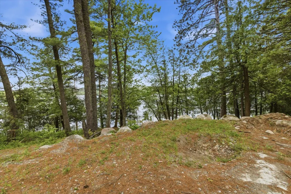 5298 Long Island Tower, MN 55790