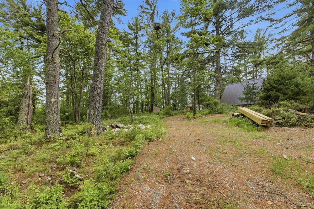 5298 Long Island Tower, MN 55790