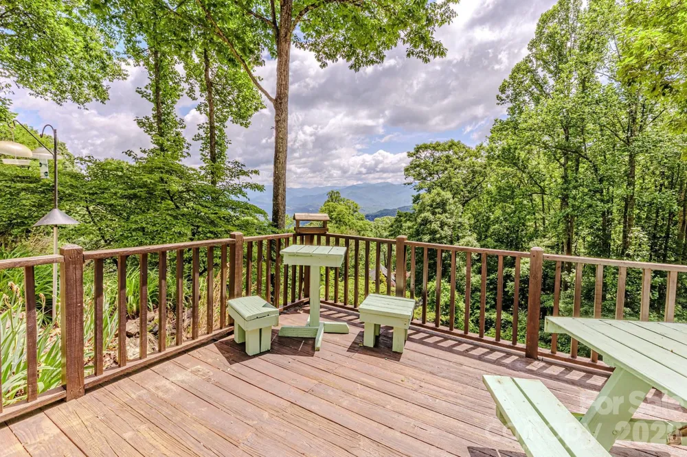 1680 Williamson Road Whittier, NC 28789