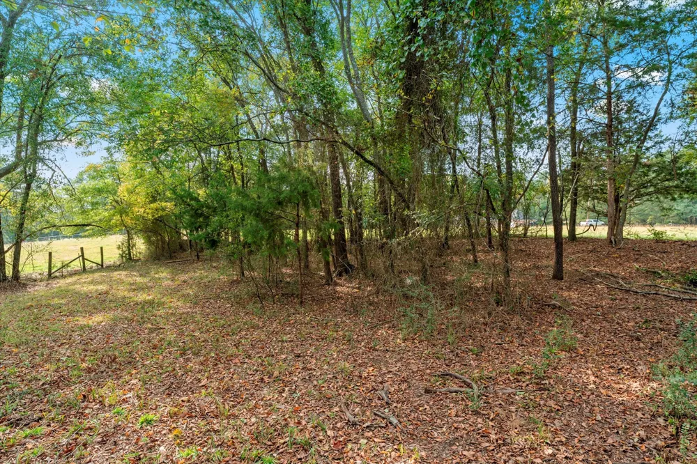 County Road 1690 Mt Pleasant, TX 75455