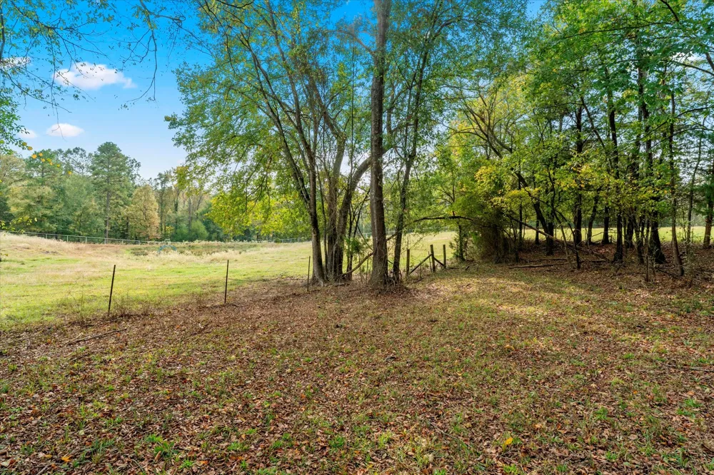 County Road 1690 Mt Pleasant, TX 75455