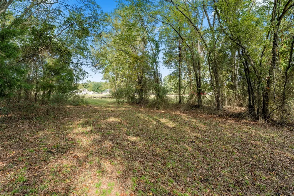 County Road 1690 Mt Pleasant, TX 75455