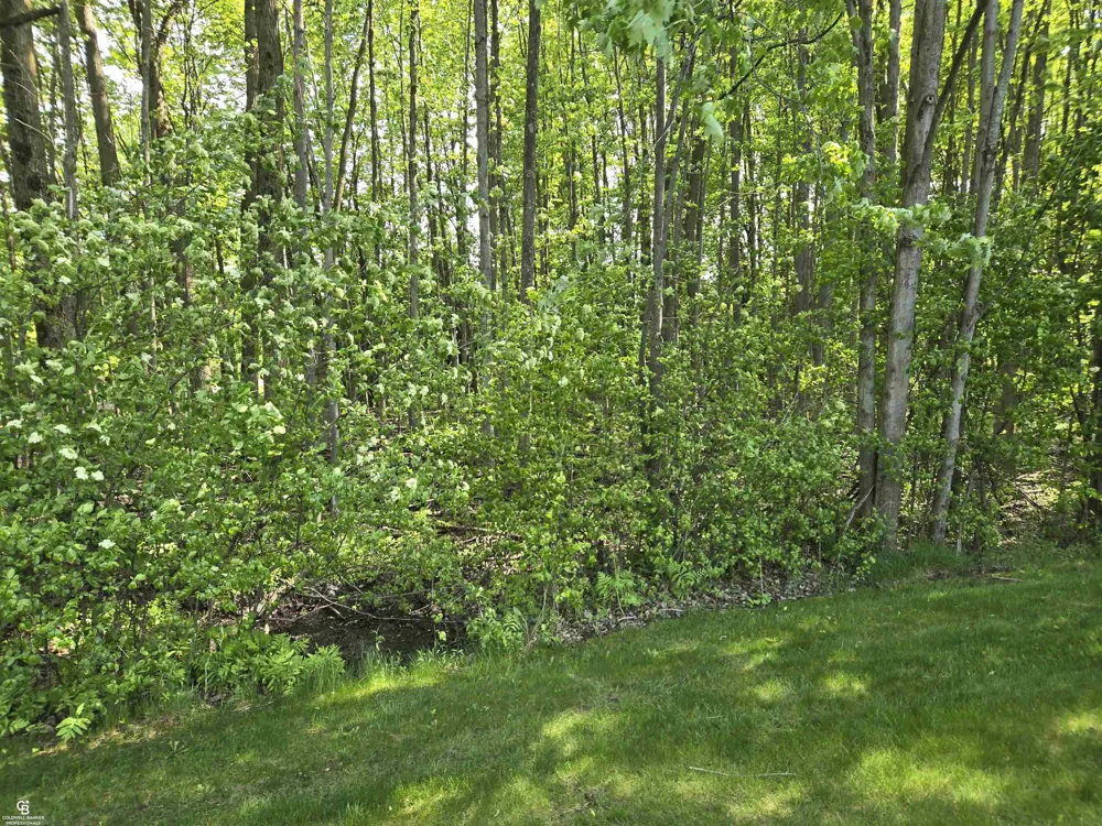 9660 Brandon Road Kenockee Township, MI 48006