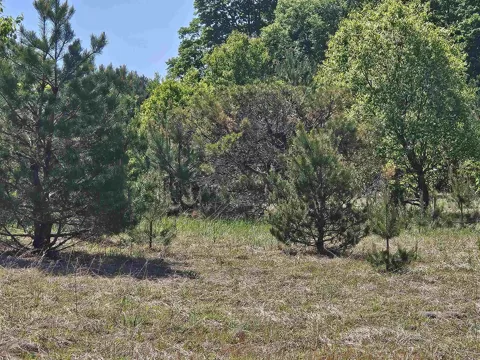 SE Grass Lake Road