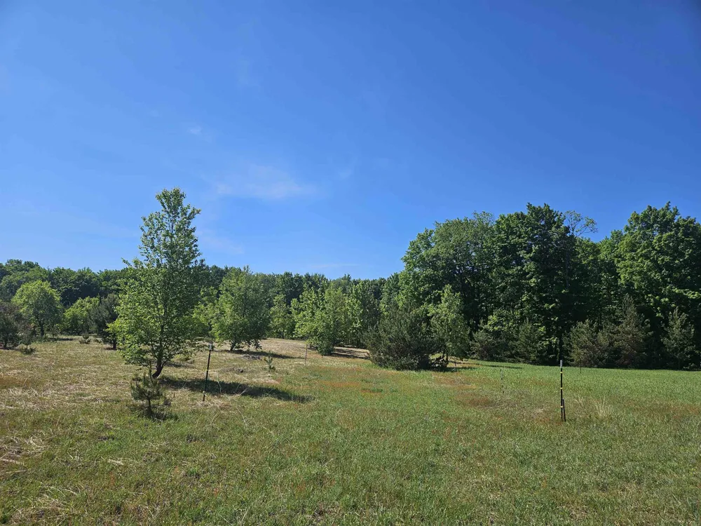 SE Grass Lake Road Excelsior Township, MI 49646