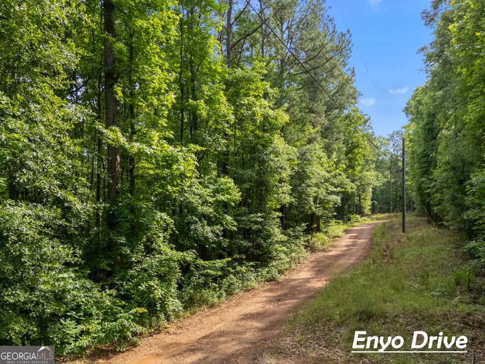 1988 N Walkers Mill RD Griffin, GA 30223