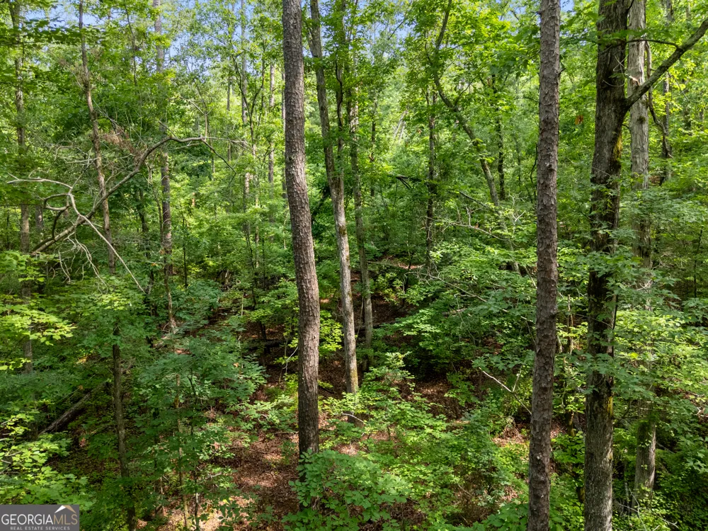 1988 N Walkers Mill RD Griffin, GA 30223