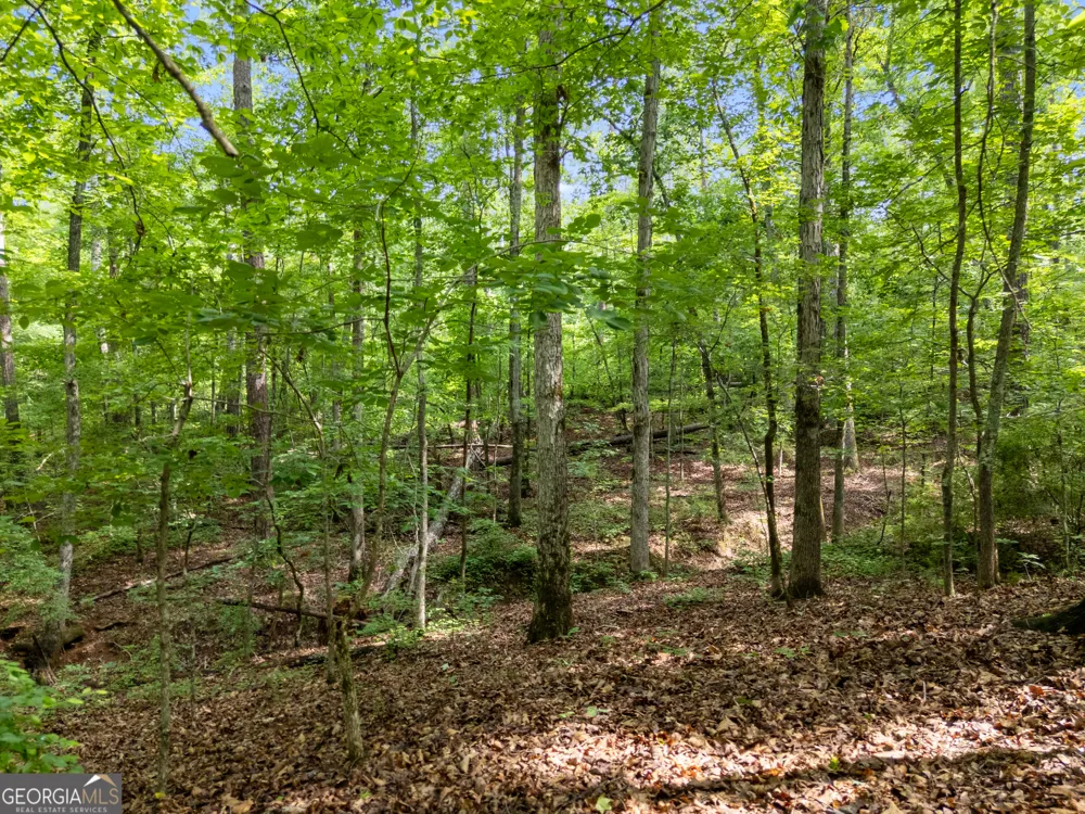 1988 N Walkers Mill RD Griffin, GA 30223