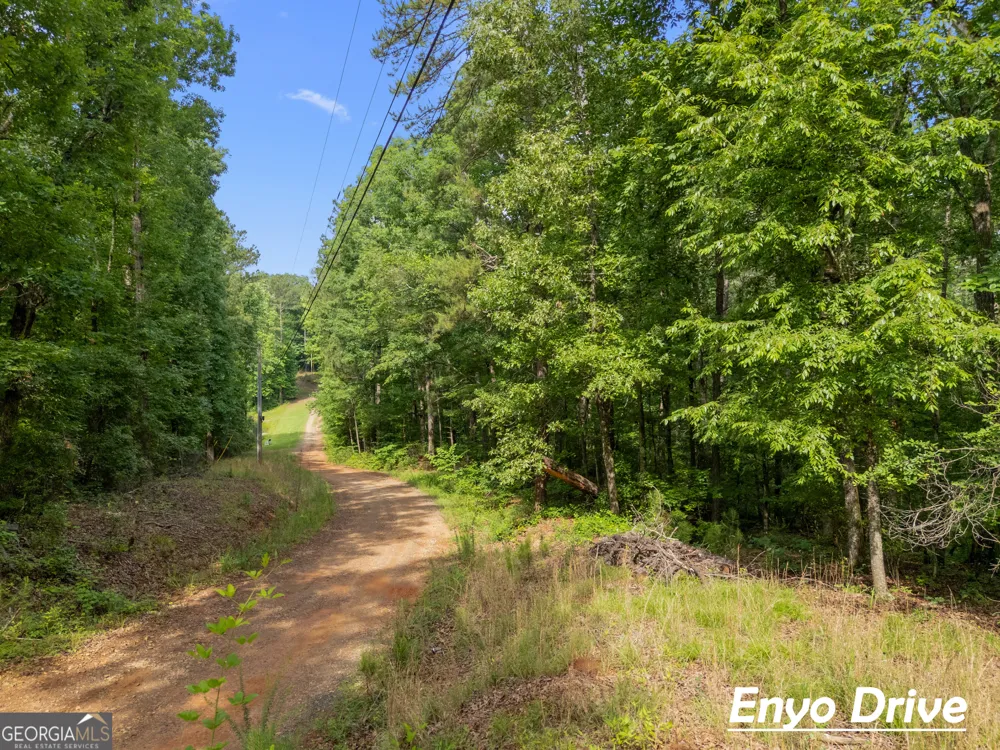 1988 N Walkers Mill RD Griffin, GA 30223