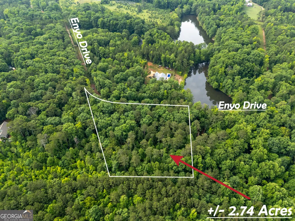1988 N Walkers Mill RD Griffin, GA 30223