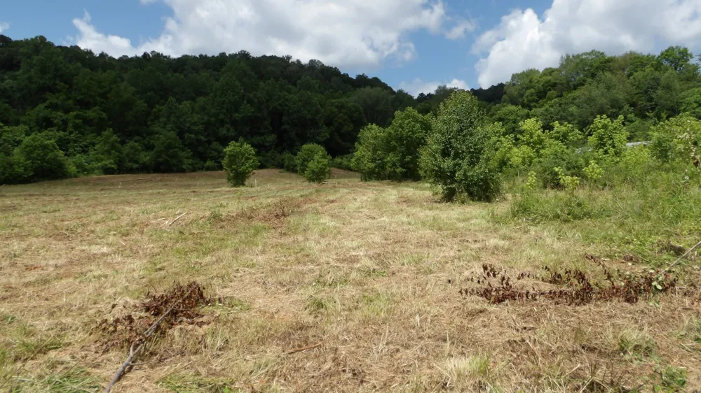 0 Lonnie Reecer Rd Celina, TN 38551