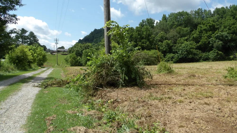 0 Lonnie Reecer Rd Celina, TN 38551