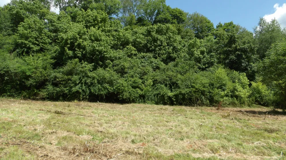 0 Lonnie Reecer Rd Celina, TN 38551