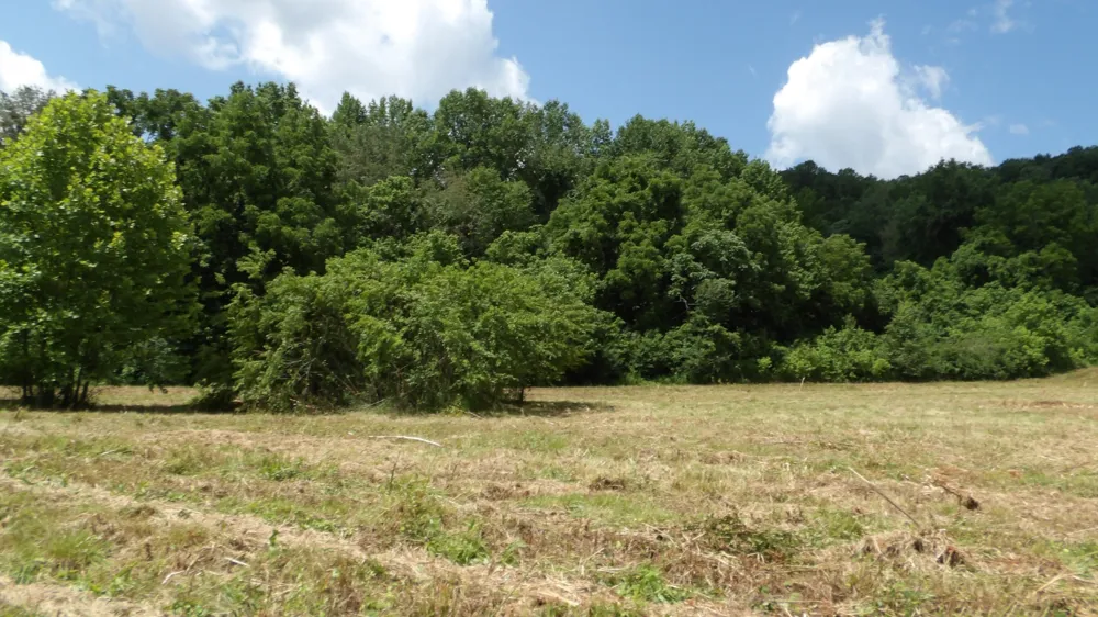 0 Lonnie Reecer Rd Celina, TN 38551