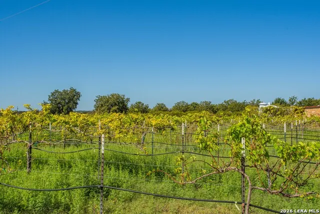 10207 E US Highway 290 Fredericksburg, TX 78624