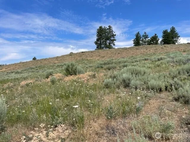 1 Alta Vista Way Orondo, WA 98816