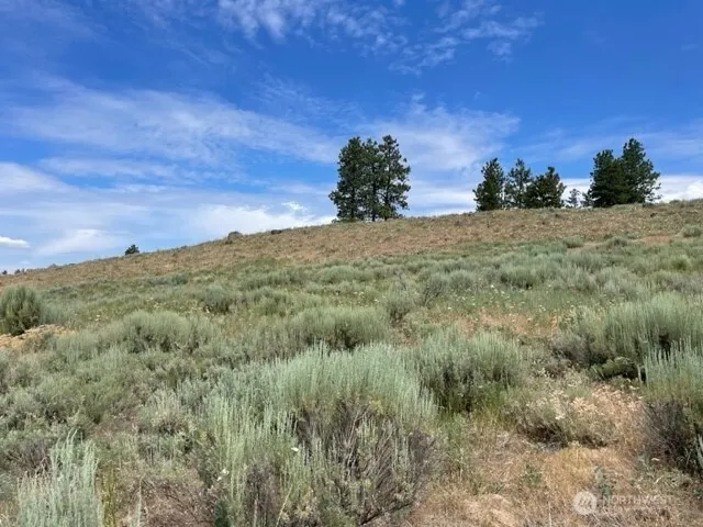 1 Alta Vista Way Orondo, WA 98816